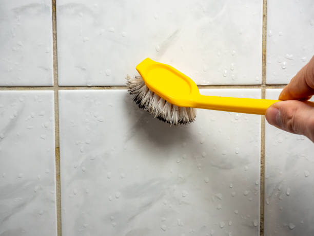 Best Mold Remediation  in Commerce, CA