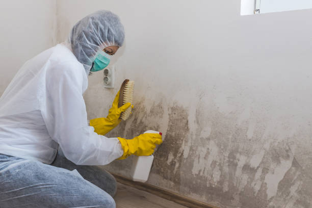 Best Mold Testing  in Commerce, CA