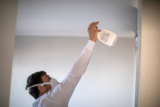 Professional Mold Removal in Commerce, CA