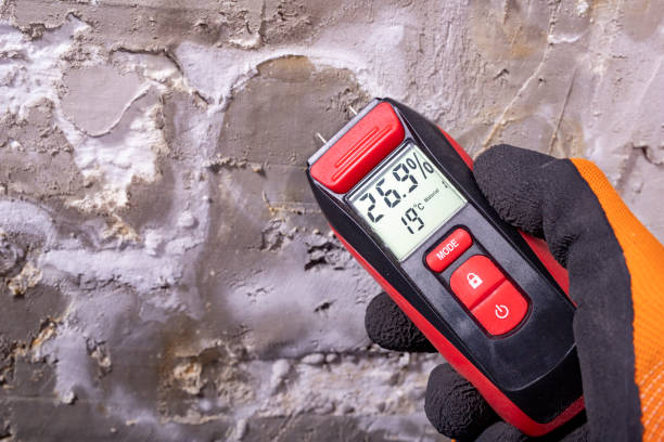 Best Professional Mold Removal  in Commerce, CA